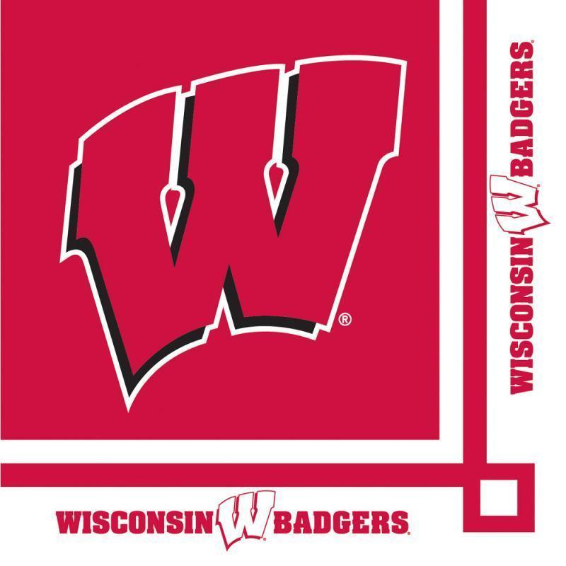 Wisconsin Badgers Party Decorations