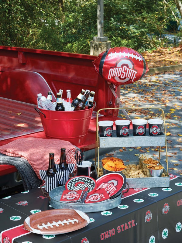 Bulk Ohio State Buckeyes 20 oz Plastic Cups (96 per Case)