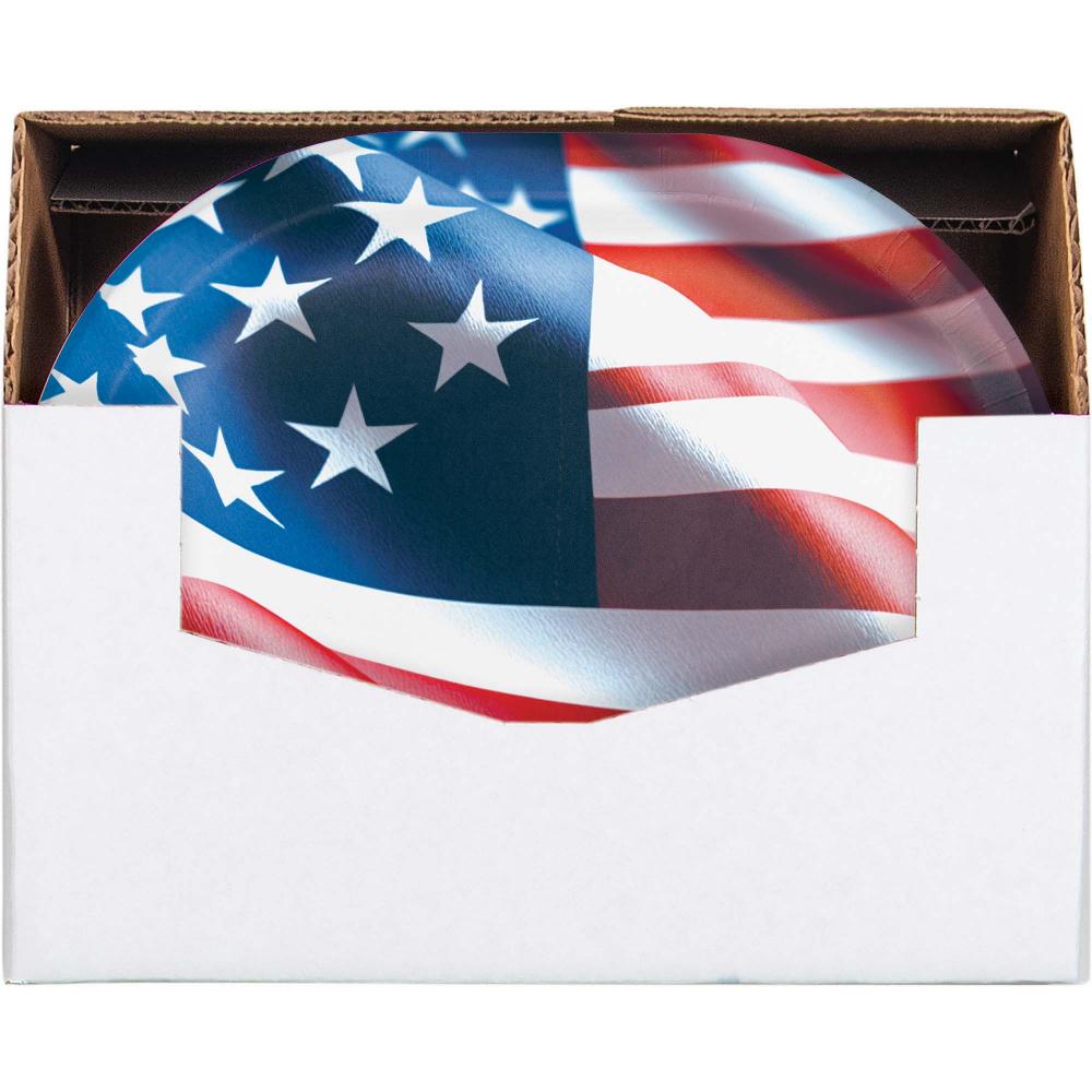 Oval Platter - Freedom Flag Party Decoration from Bulk Party Decorations