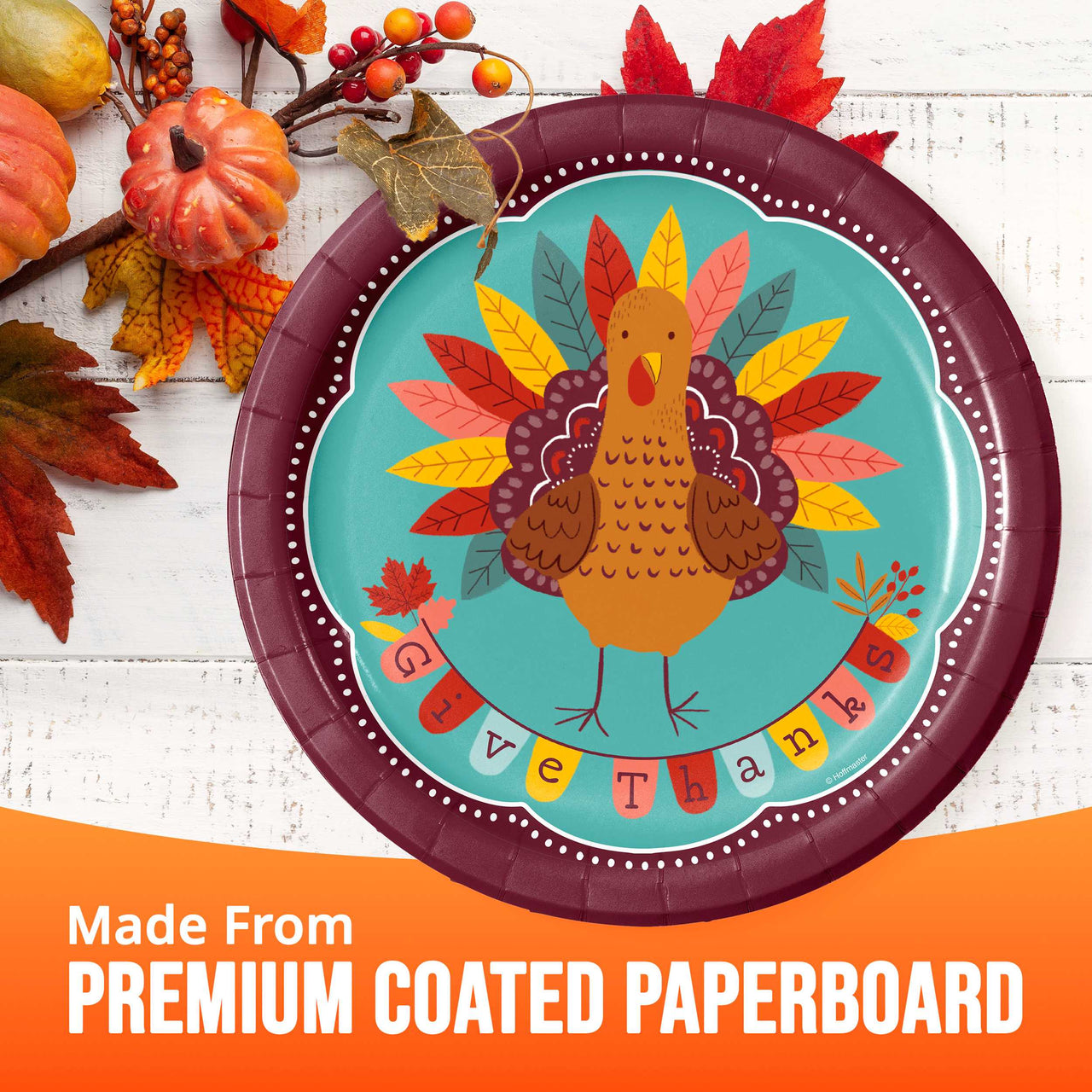 Bulk Turkey Treat Dinner Plates 9" (96 per Case)