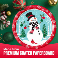 Bulk Frosted Fun Dinner Plates 9