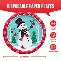 Bulk Frosted Fun Dinner Plates 9