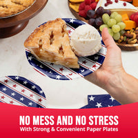 Bulk Patriotic Patterns Luncheon Plates 7