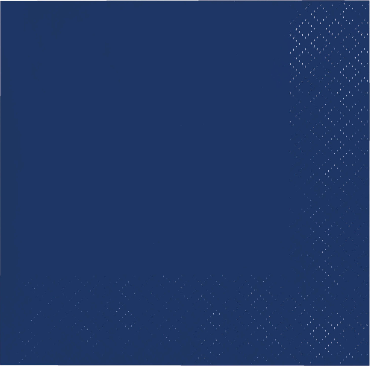 480ct Bulk Navy 2Ply Beverage Napkin